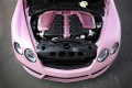 2009-mansory-bentley-continental-gt-speed-vitesse-rose-engine-view