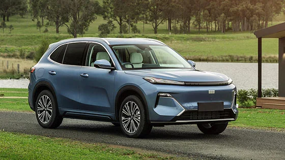 ג'ילי סטאריי פלאג-אין