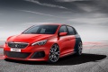 peugeot-308_r_concept_2013_01