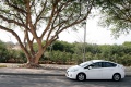 toyota-prius-201002