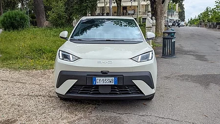 2025 BYD דולפין סרף