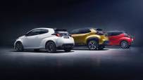 TOYOTA_FAMILY_BACK