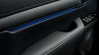 hiluxinteriordoor