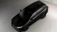 rav4topshot