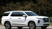 Hyundai-Palisade-2020-1600-13