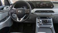 Hyundai-Palisade-2020-1600-38