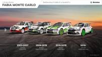 fabia_monte_carlo_rally_cars_ii