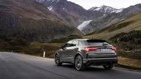 Audi-RS-Q3-Edition-10-Years-50