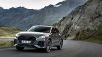 Audi-RS-Q3-Edition-10-Years-69