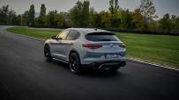 03_newstelvio_dynamics-6359037eb23e2