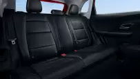 mg_zs_hybrid_4
