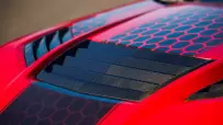 Shelby-Super-Snake-R-14