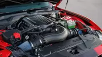 Shelby-Super-Snake-R-18